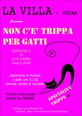 ../immagini/Trippa_per_gatti